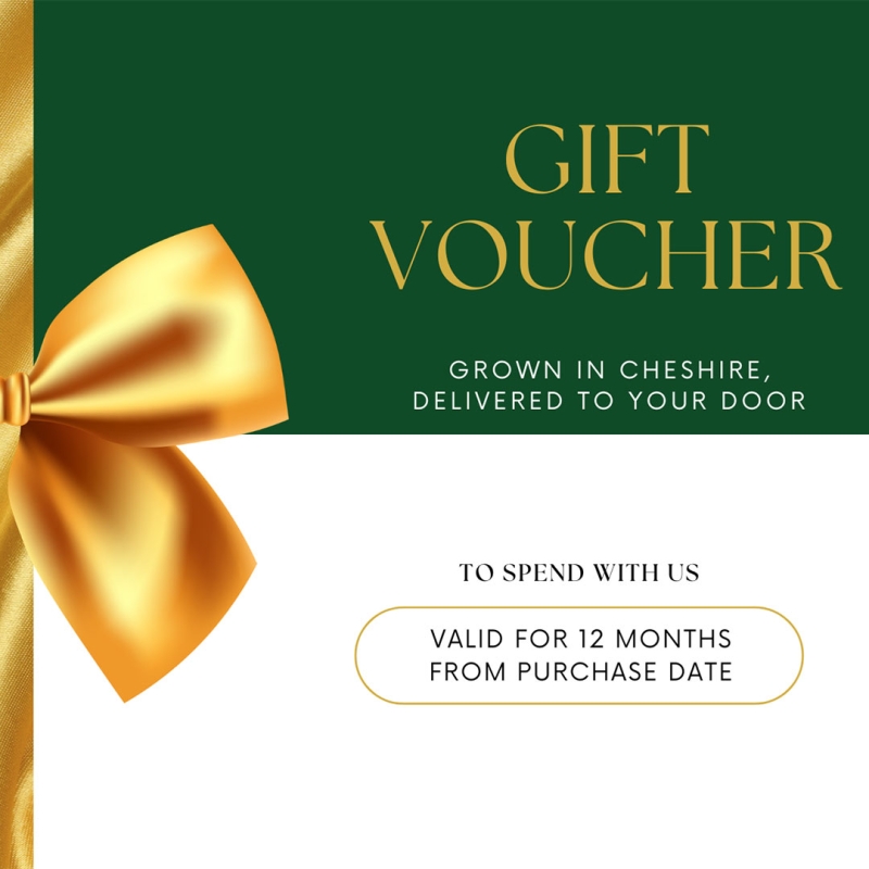 Gift Vouchers